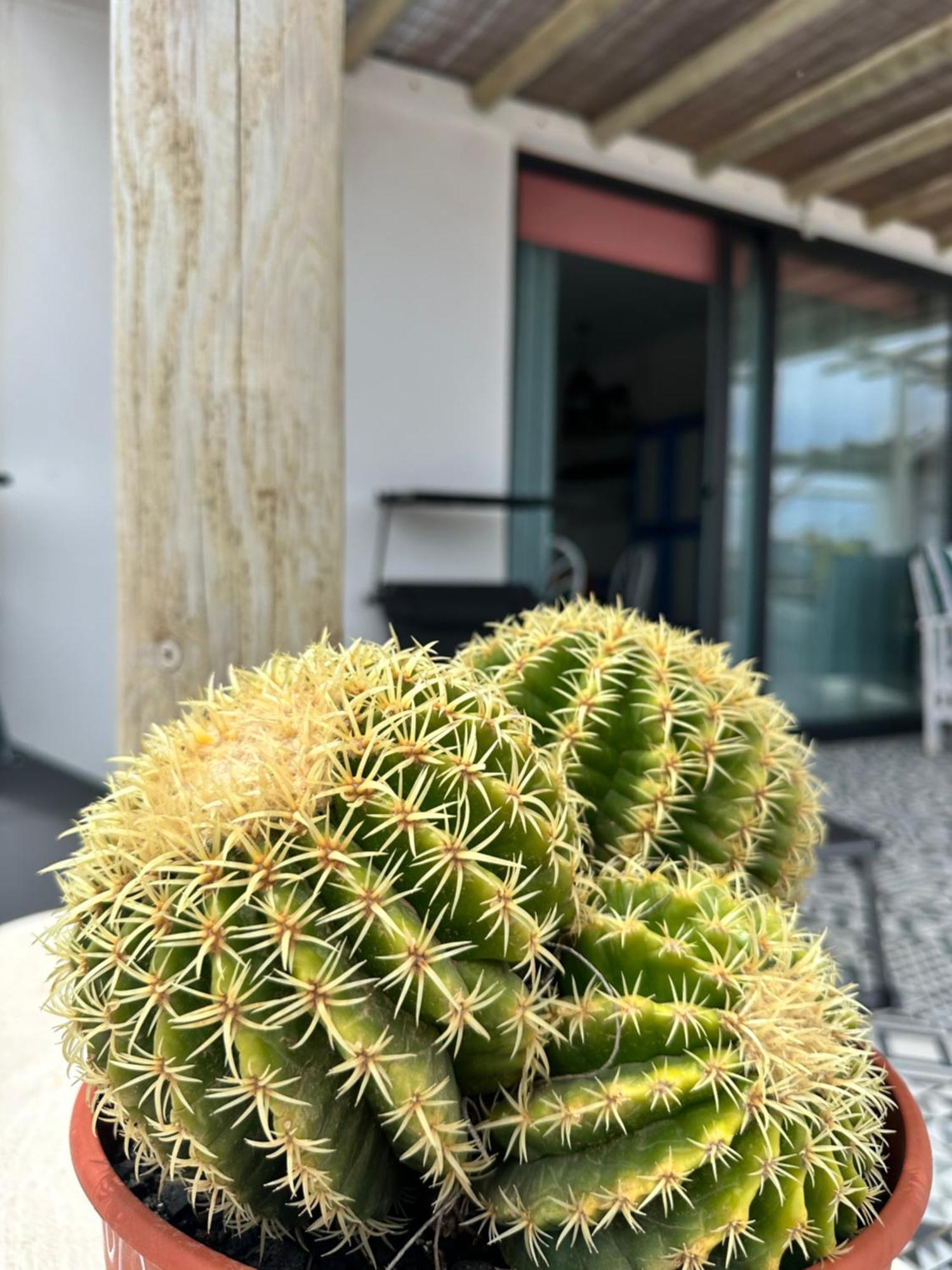 Casita Tiare Lajares Daire Dış mekan fotoğraf